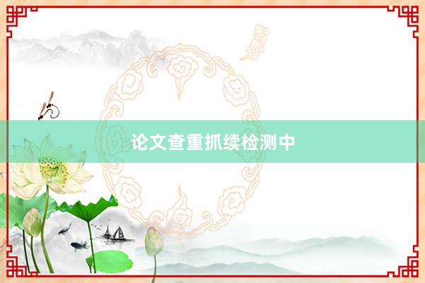 论文查重抓续检测中