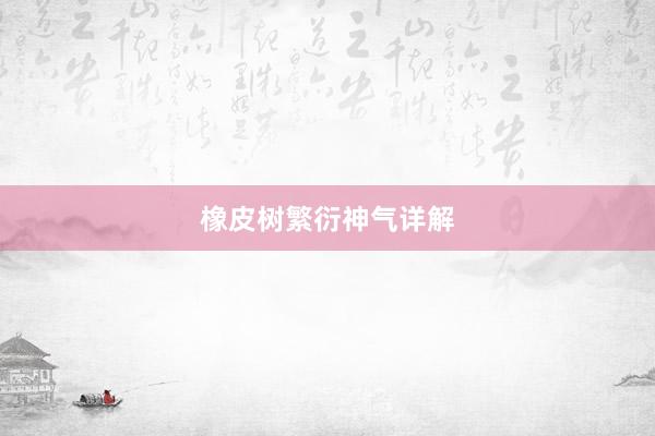 橡皮树繁衍神气详解